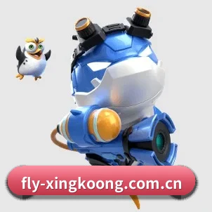 fly-xingkoong.com.cn APP(xingkong)